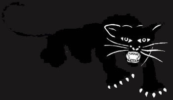 il sito del Black Panther Party